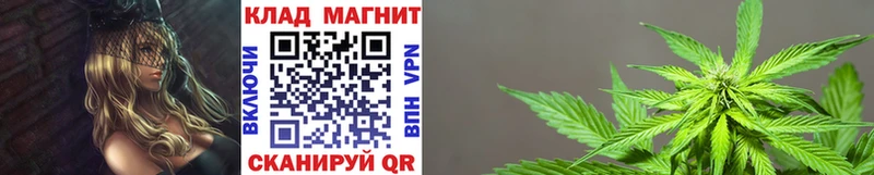 Купить закладку A PVP  МЕФ  АМФЕТАМИН  ГАШИШ  Каннабис  Cocaine  Петрозаводск