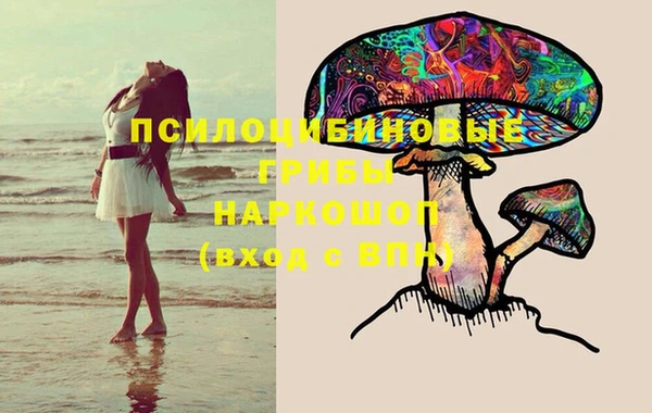 гашик Касимов