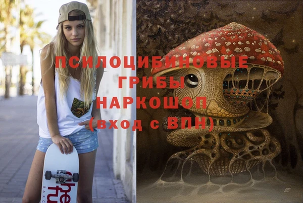 гашик Касимов